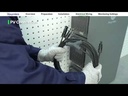 youtube - [Video]